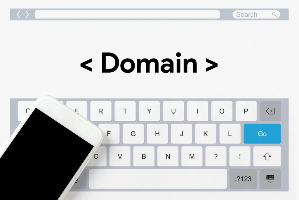 domain name