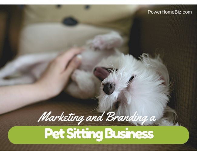 Marketing and Branding a Pet Sitting Business