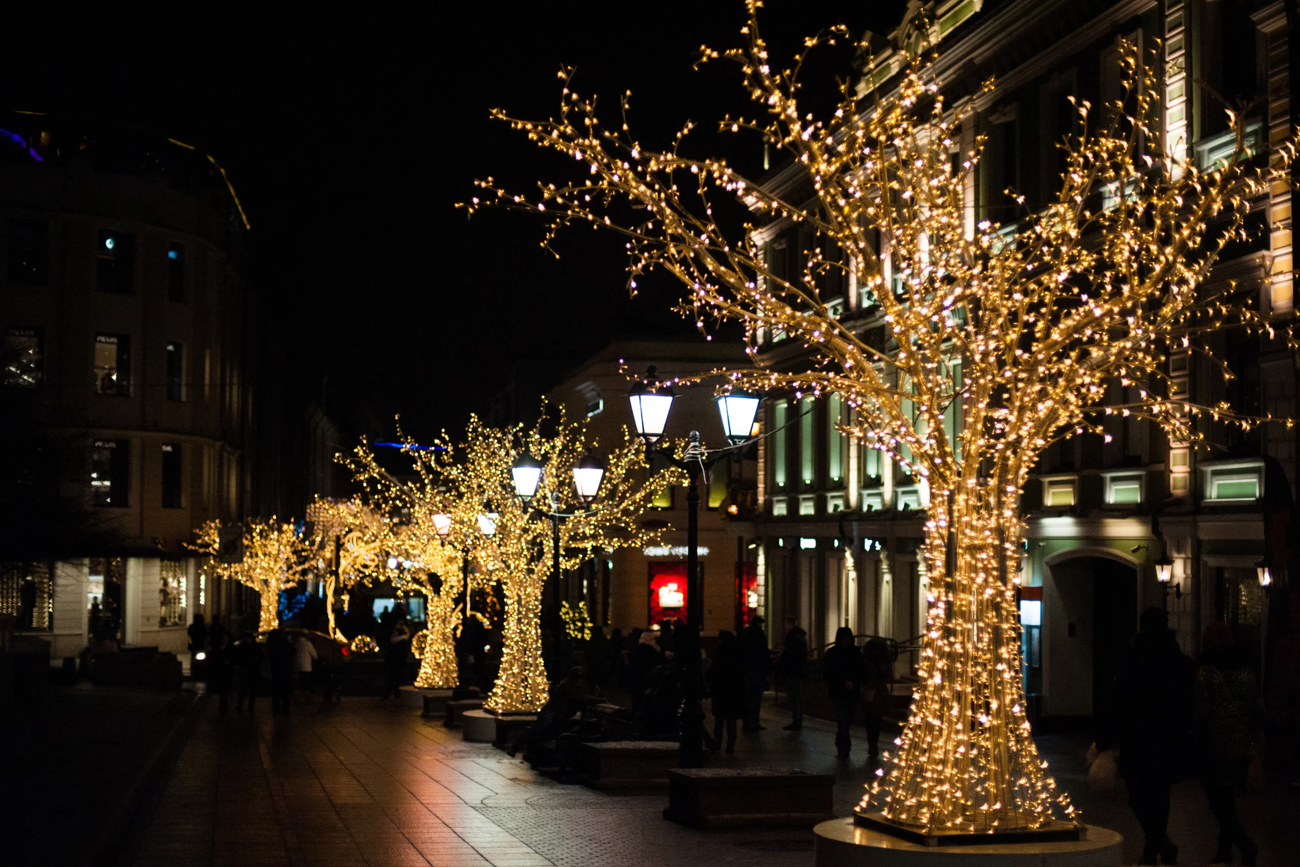 holiday tree lighting: additional services by landscaping business