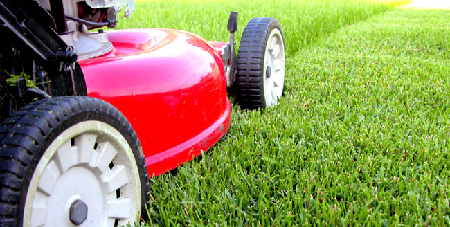 lawn service business