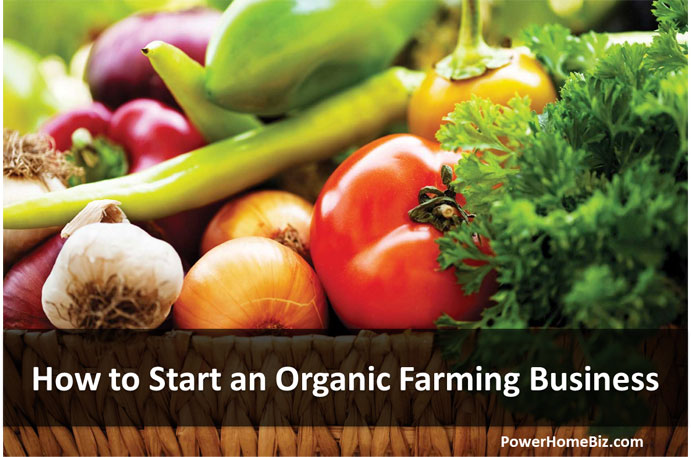 organic farming business