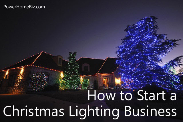 christmas lights business