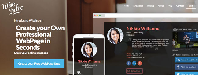 WiseIntro helping you create professional-looking web pages in seconds