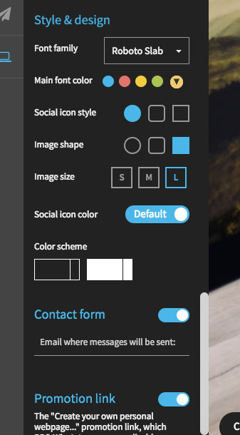 WiseIntro also has several design customization features 