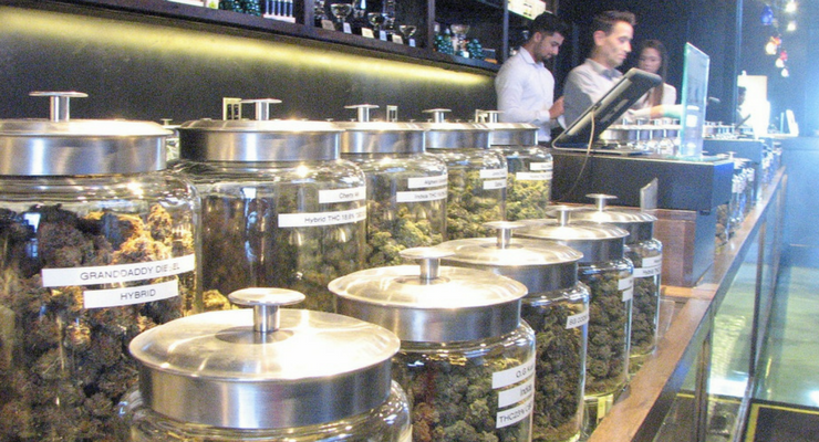 Ideas for Fast Growing Retail Businesses: Cannabis or Marijuana Small Business