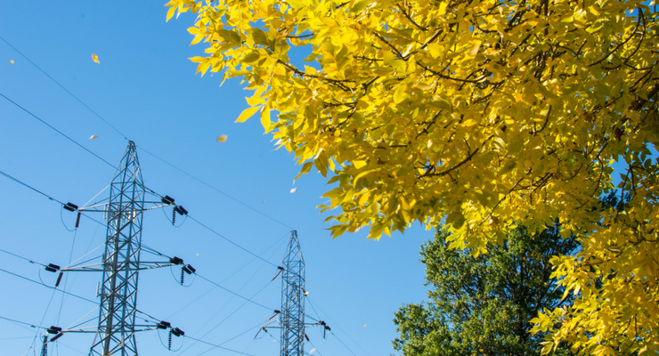 How You Can Take Advantage Of The Growth Of The Oil And Gas Industry