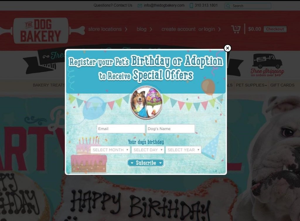 Dog Bakery email marketing