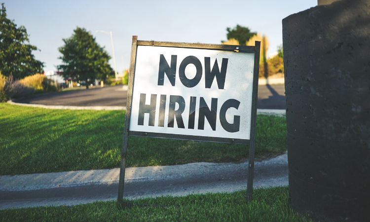 Essential Steps Needed When Hiring Your Company’s First Employees