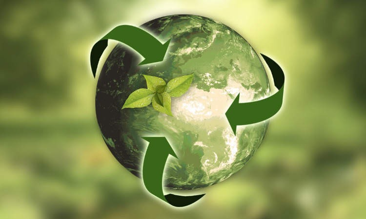 Sustainability Entrepreneurship: Expert’s Guide To Living Green