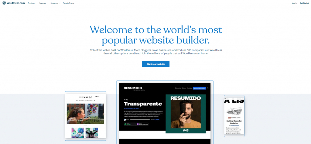 wordpress website