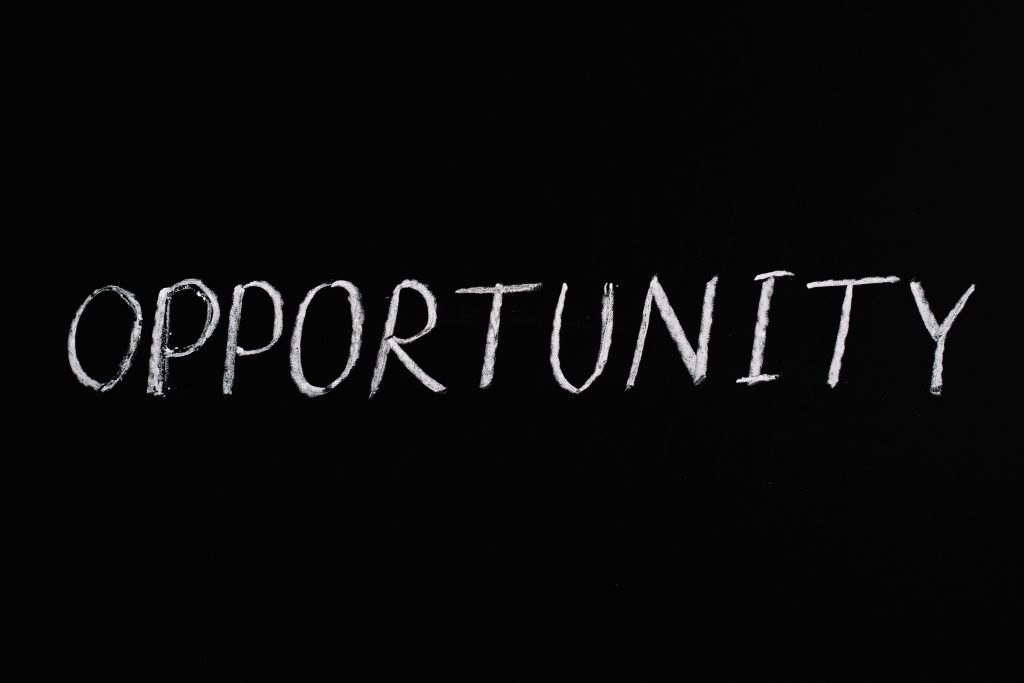 opportunity driven: running multiple businesses