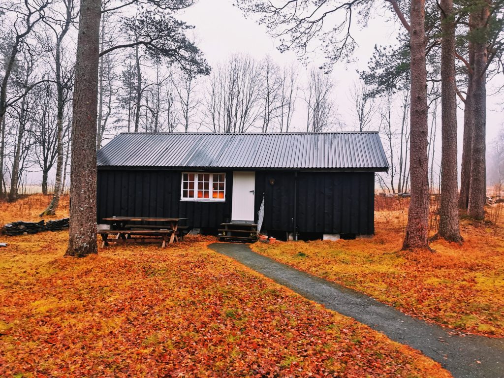 tiny home from shipping container