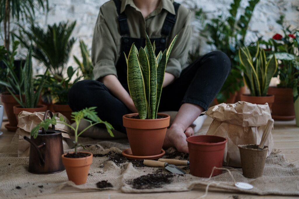 business from your garden