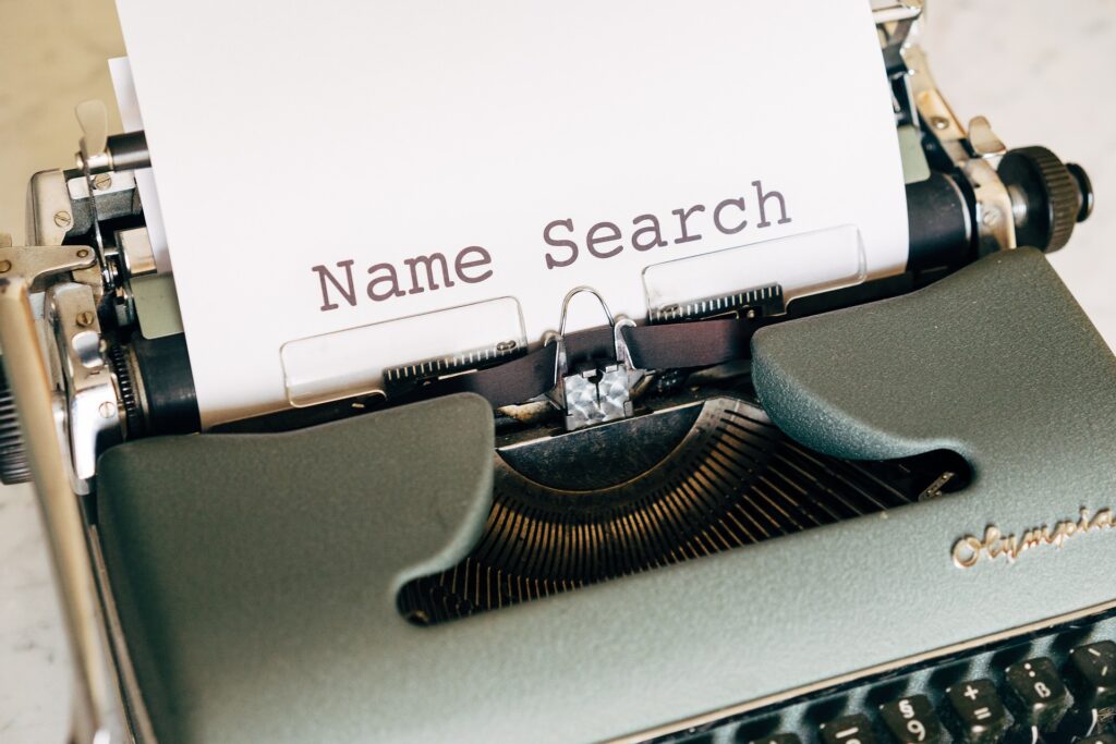 business name search