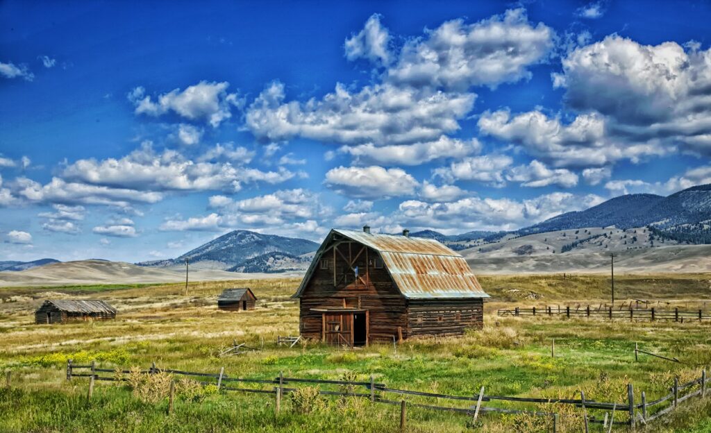 starting a business in montana