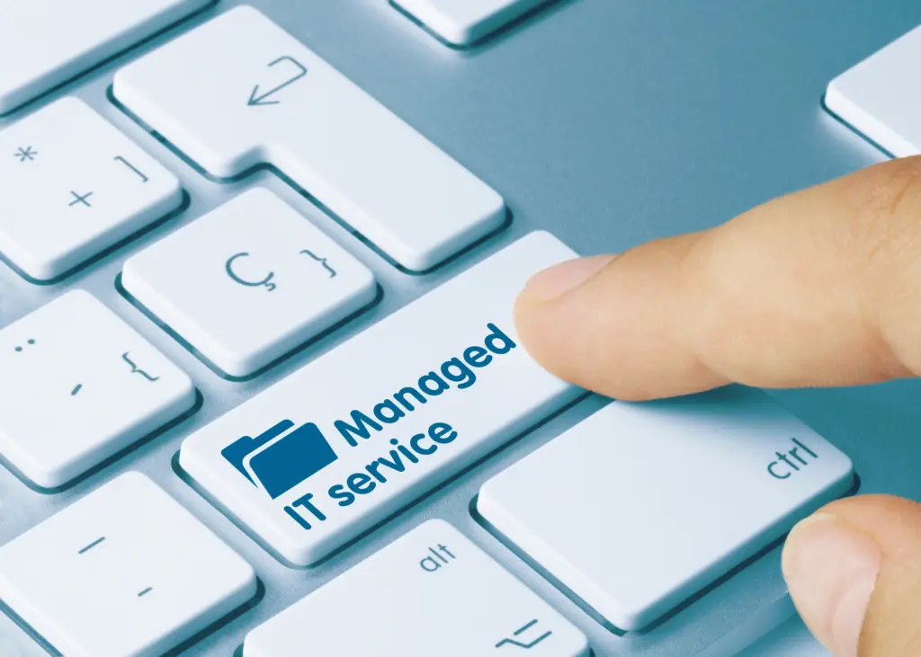 IT management services