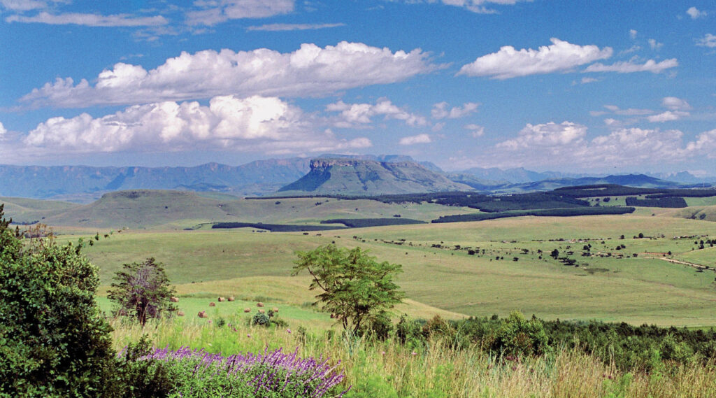 eco-tourism Antbear Eco Lodge