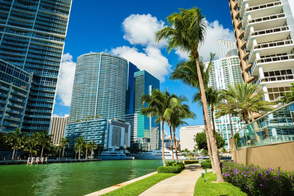 miami startup