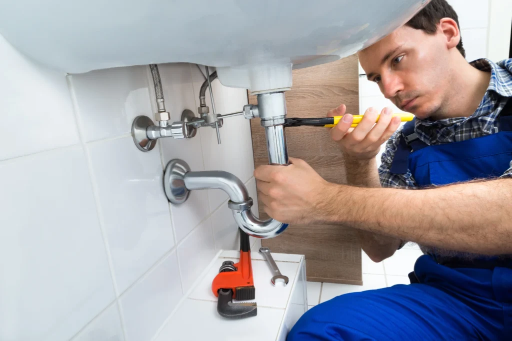 plumbing business: plumber