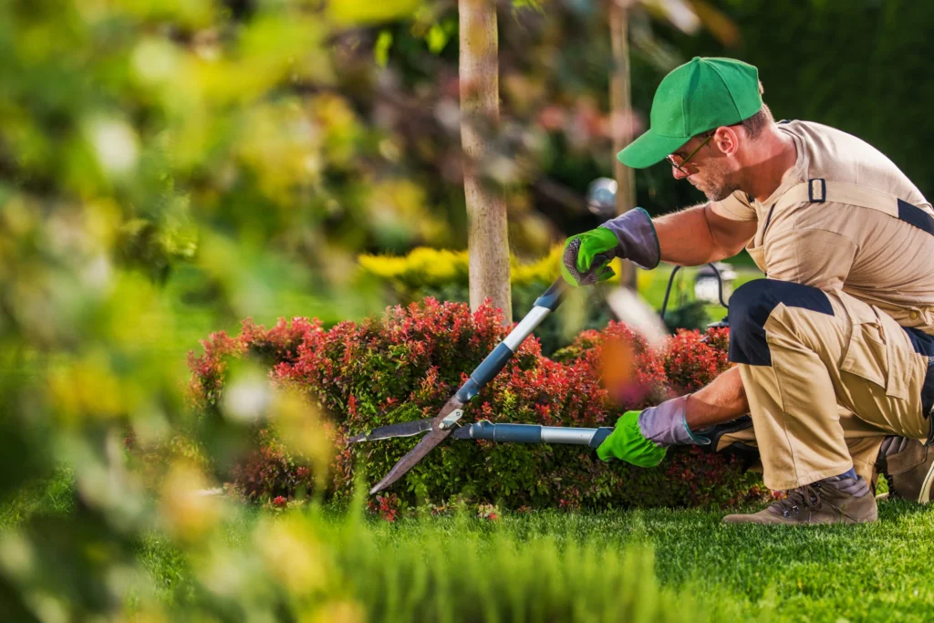 starting a landscaping business