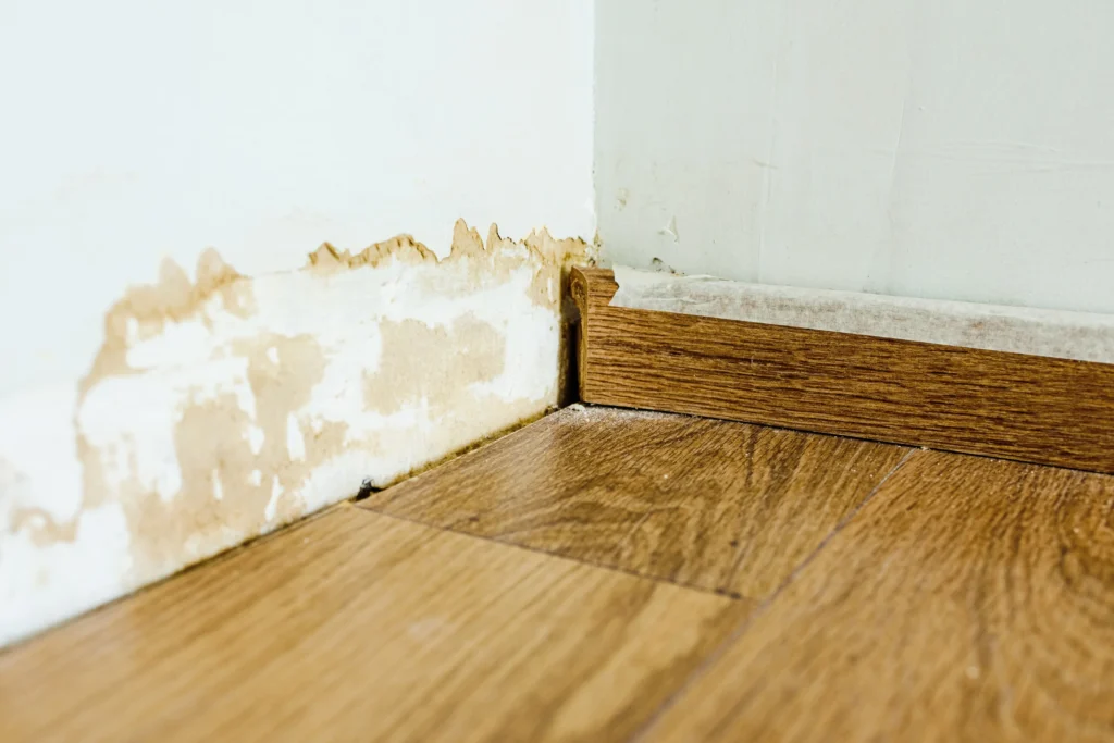 water damage walls and floor