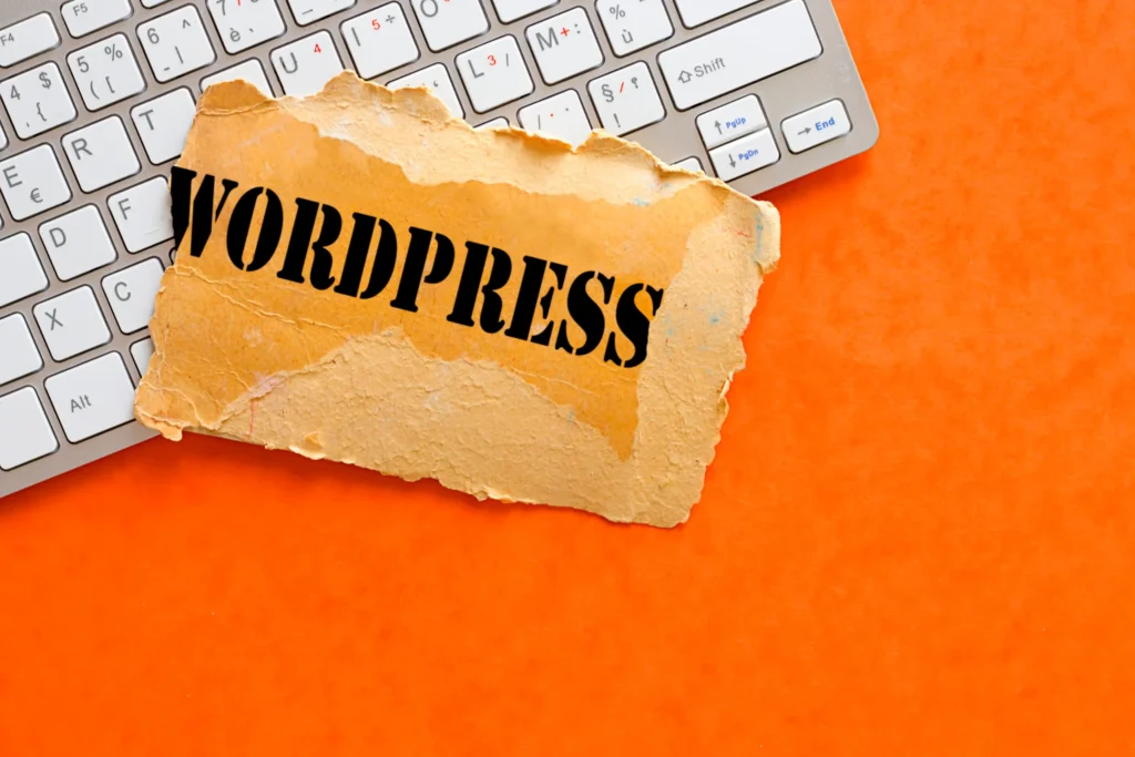 earn money online from WordPress