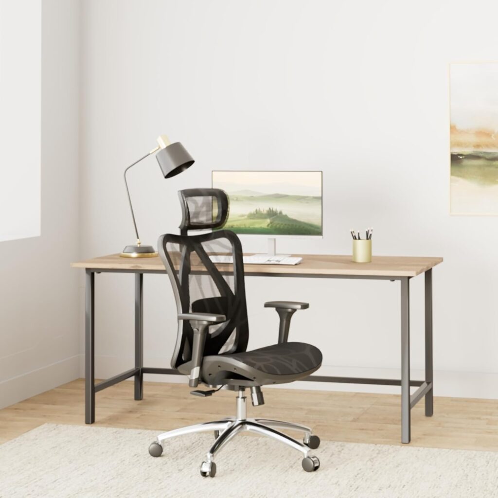 SIHOO M57 Ergonomic Office Chair