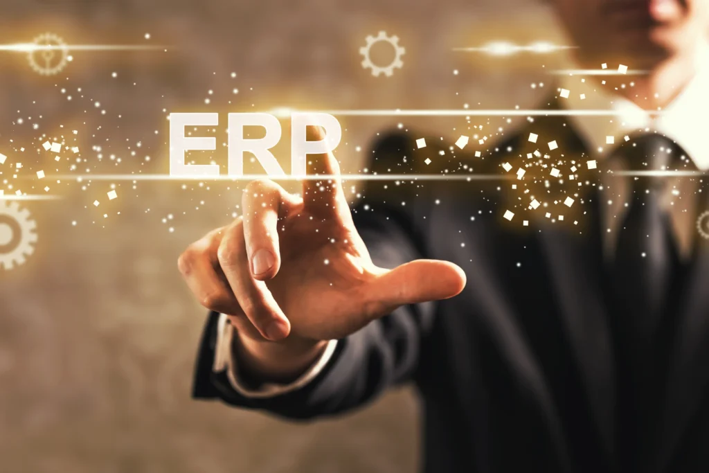 enterprise resource program ERP system