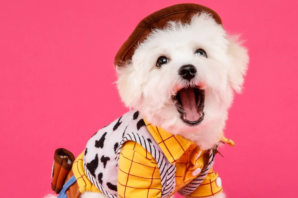 pet business dog