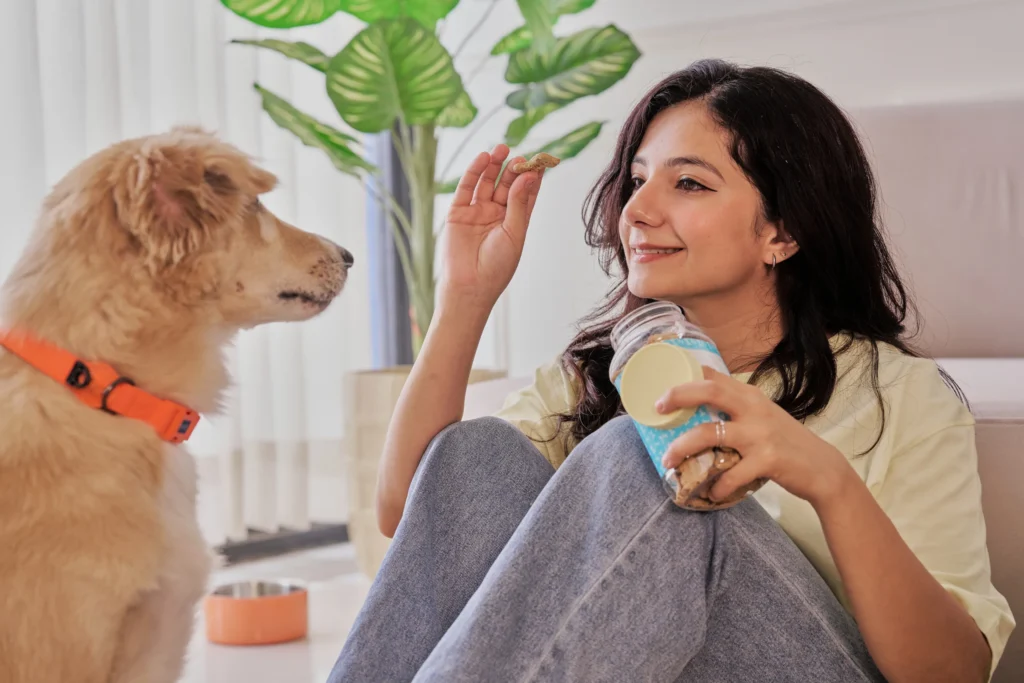 pet business dog given treats
